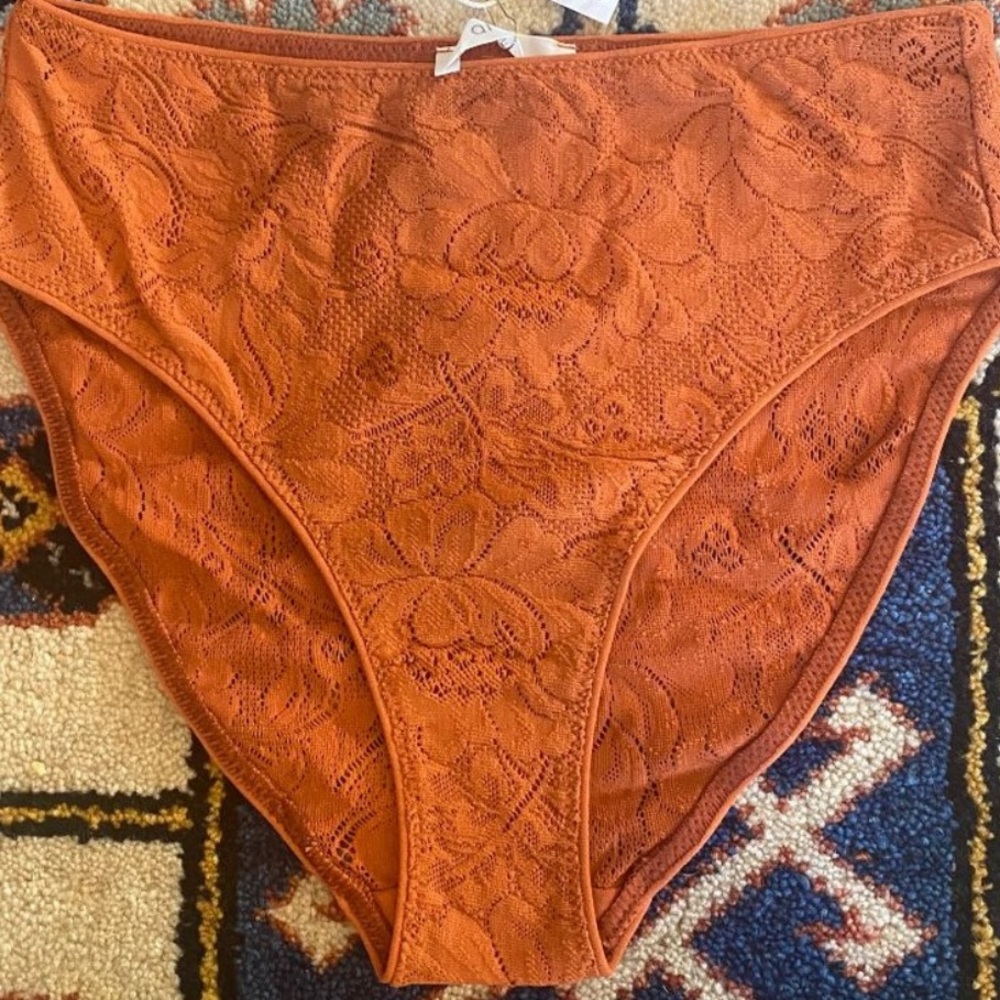 ARAKS Rust Stretch Lace High Hipster Panties Underwear